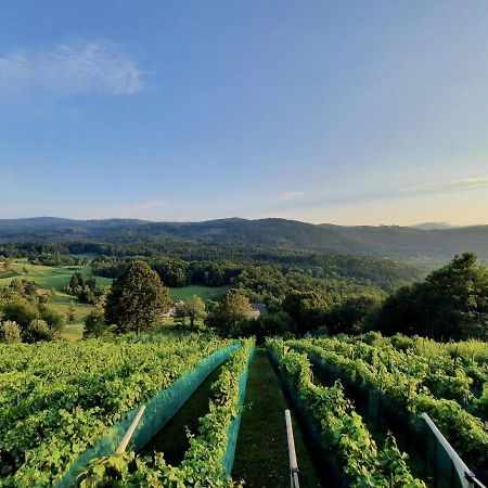 Vineyard Cottage Kulovec Ursna Sela エクステリア 写真