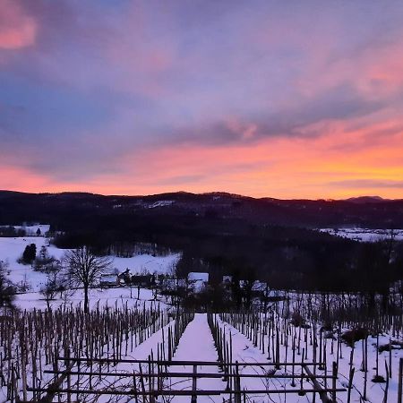 Vineyard Cottage Kulovec Ursna Sela エクステリア 写真