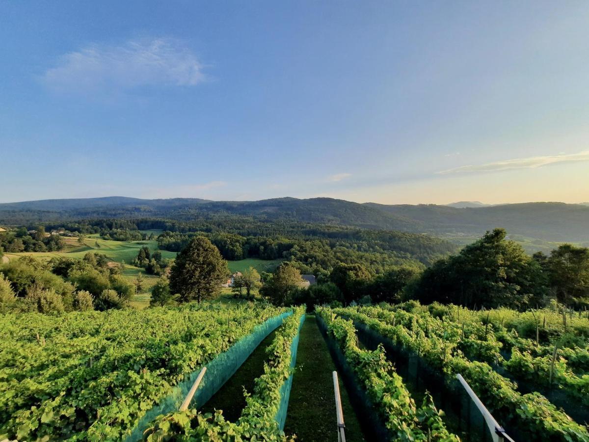 Vineyard Cottage Kulovec Ursna Sela エクステリア 写真