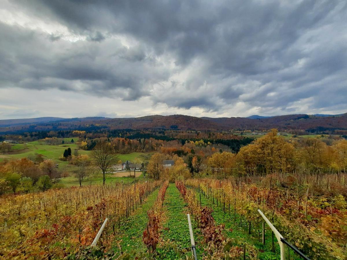 Vineyard Cottage Kulovec Ursna Sela エクステリア 写真