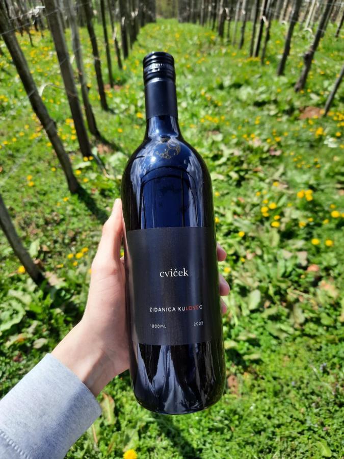 Vineyard Cottage Kulovec Ursna Sela エクステリア 写真