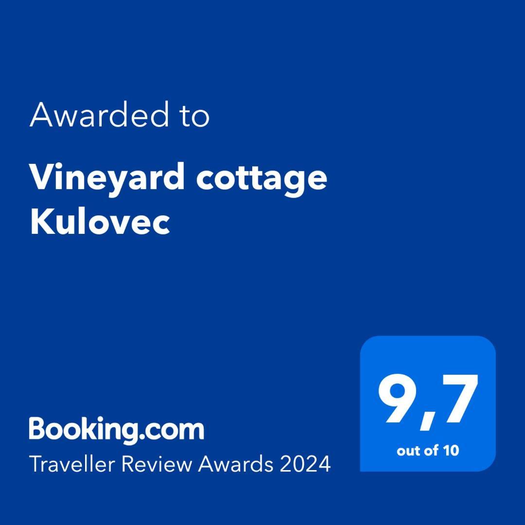 Vineyard Cottage Kulovec Ursna Sela エクステリア 写真
